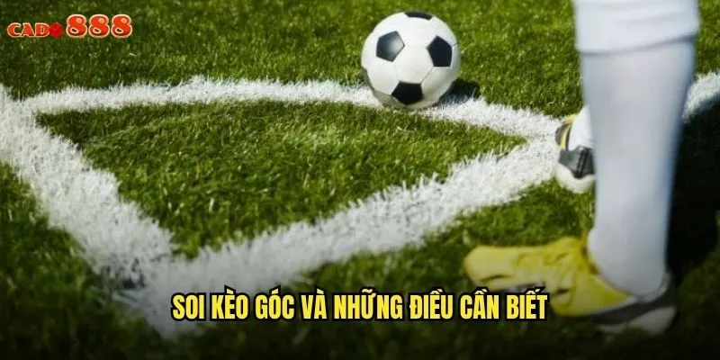 Soi Kèo Góc cado888 Chiến Thuật Độc Đáo Cho Tỷ Lệ Thắng Cao 2 Soi kèo góc và những điều cần biết