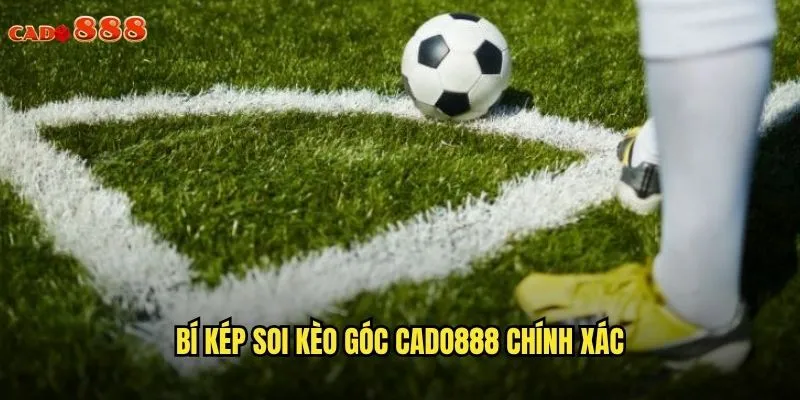 Soi Kèo Góc cado888 Chiến Thuật Độc Đáo Cho Tỷ Lệ Thắng Cao 3 Bí kẹp soi kèo góc cado888 chính xác