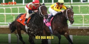 kèo đua ngựa