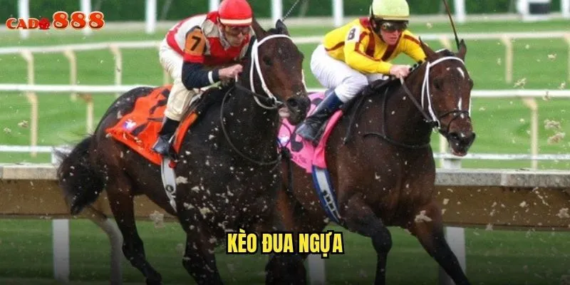 Kèo Đua Ngựa cado888 Trải Nghiệm Cá Cược Đẳng Cấp Thượng Lưu 1 kèo đua ngựa