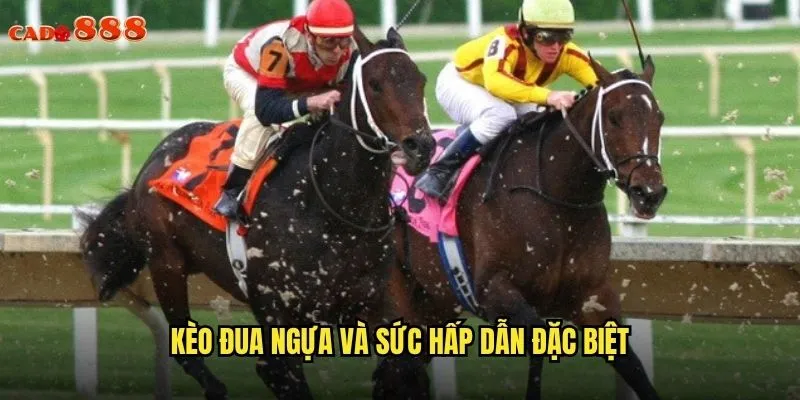 Kèo Đua Ngựa cado888 Trải Nghiệm Cá Cược Đẳng Cấp Thượng Lưu 2 Kèo đua ngựa và sức hấp dẫn đặc biệt
