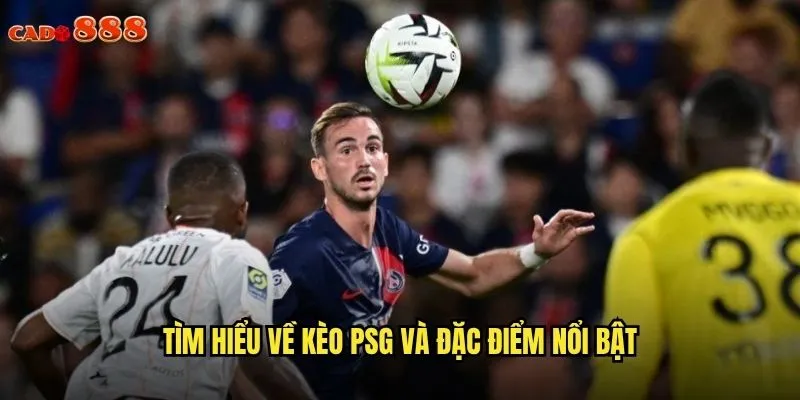 Tìm hiểu về kèo PSG và đặc điểm nổi bật