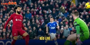 kèo Live