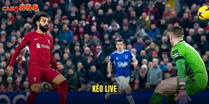 Kèo Live cado888 Cá Cược Trực Tiếp Kịch Tính Từng Giây 1 kèo Live