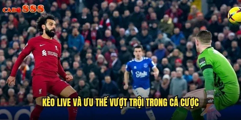 Kèo Live cado888 Cá Cược Trực Tiếp Kịch Tính Từng Giây 2 Kèo Live và ưu thế vượt trội trong cá cược