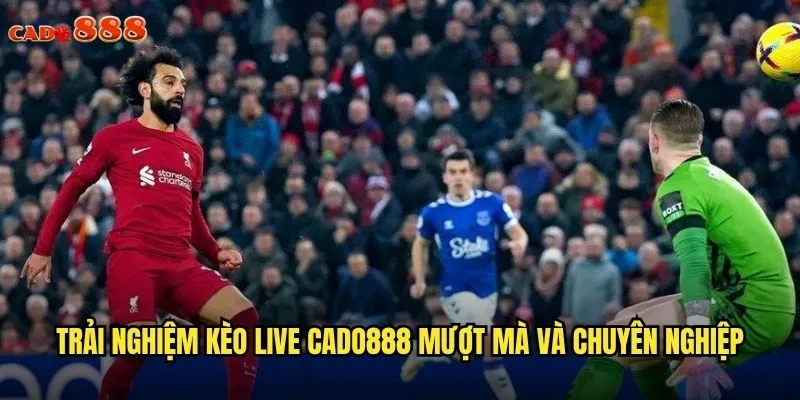 Kèo Live cado888 Cá Cược Trực Tiếp Kịch Tính Từng Giây 3 Trải nghiệm kèo Live cado888 mượt mà và chuyên nghiệp