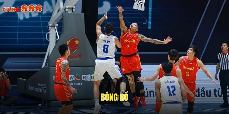 Bóng Rổ cado888 Cược Đẳng Cấp NBA Và Các Giải Lớn 1 bóng rổ