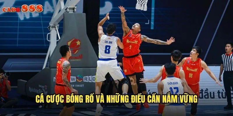 Bóng Rổ cado888 Cược Đẳng Cấp NBA Và Các Giải Lớn 2 Cá cược bóng rổ và những điều cần nắm vững