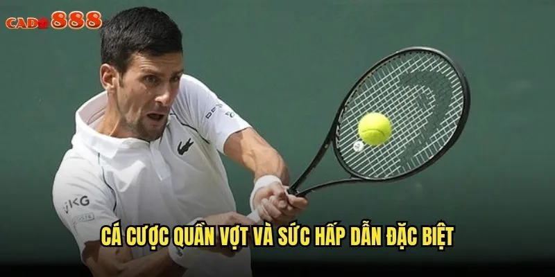 Quần Vợt cado888 Trải Nghiệm Tennis Đỉnh Cao Grand Slam 2 Cá cược quần vợt và sức hấp dẫn đặc biệt