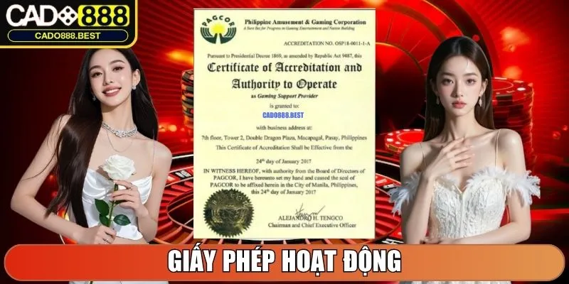 Cado888 - Nhà Cái Cá Cược Trực Tuyến #1 Châu Á Năm 2025 10 Giấy phép hoạt động