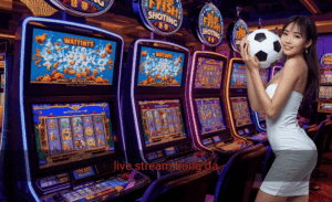 Live stream bóng đá