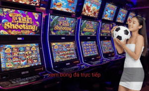 Xem bóng đá trực tiếp